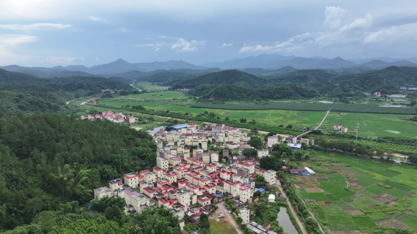 长宏网配资 播植镇这条村在悄悄地变美，你发现了吗？